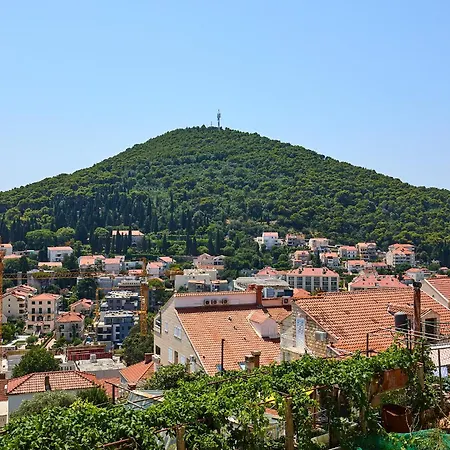 Hedera Estate Hedera A48