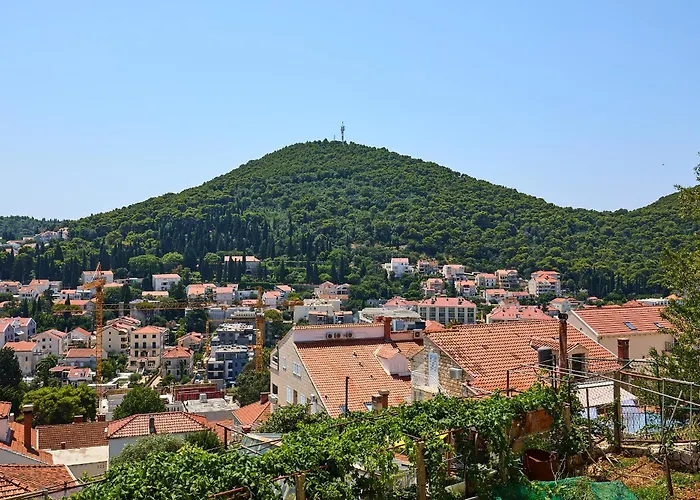 Hedera Estate Hedera A48